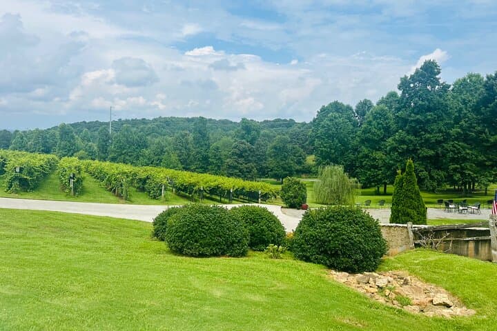 Ellijay Three-Vineyards Private Wine Tasting Tour from Atlanta photo 2