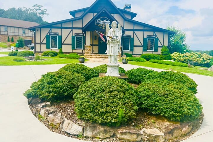 Ellijay Three-Vineyards Private Wine Tasting Tour from Atlanta photo 3