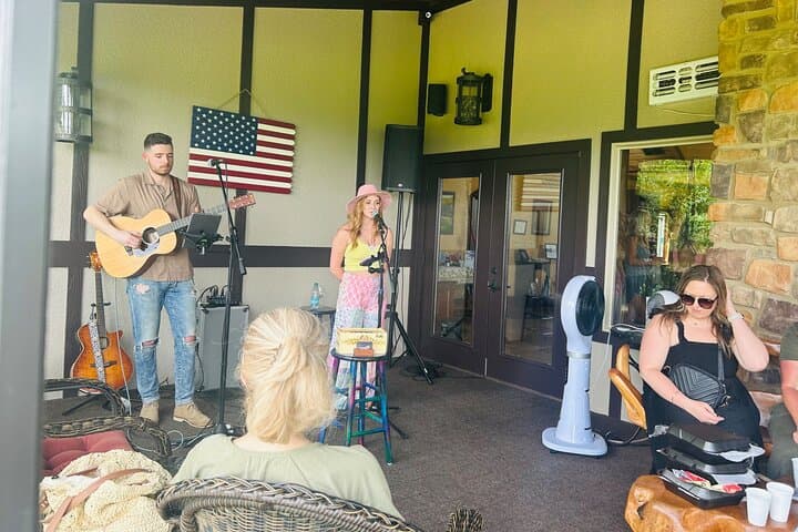 Ellijay Three-Vineyards Private Wine Tasting Tour from Atlanta photo 4