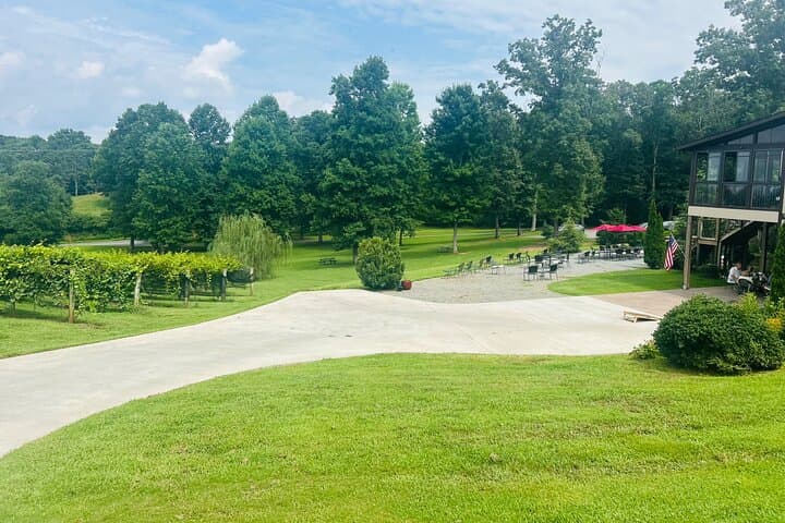 Ellijay Three-Vineyards Private Wine Tasting Tour from Atlanta photo 6