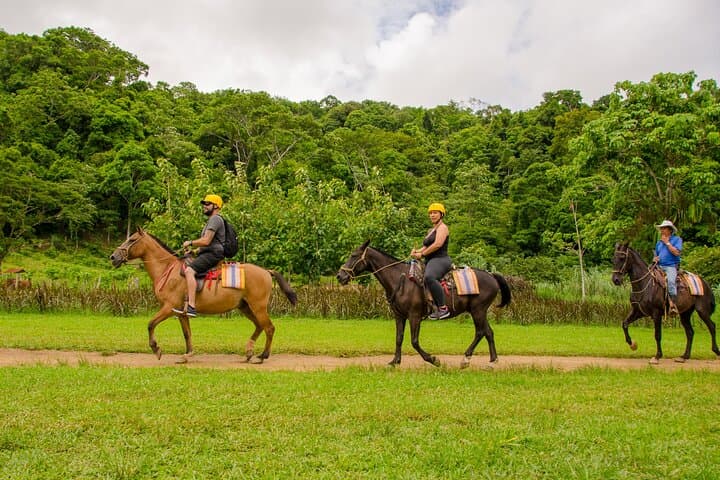 Rainforest Horseback Riding and Tarcoles Crocodile Boat Tour — Puntarenas Shore Excursion photo 6