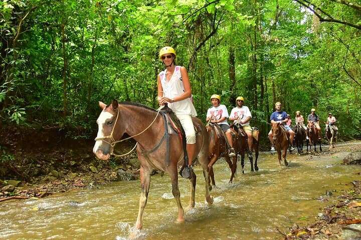 Rainforest Horseback Riding and Tarcoles Crocodile Boat Tour — Puntarenas Shore Excursion photo 3