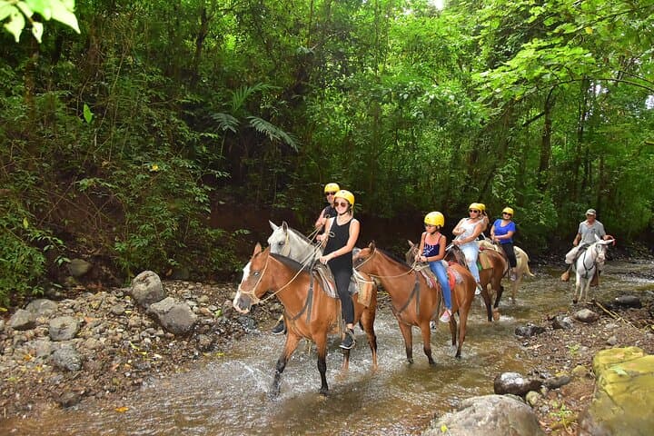 Rainforest Horseback Riding and Tarcoles Crocodile Boat Tour — Puntarenas Shore Excursion