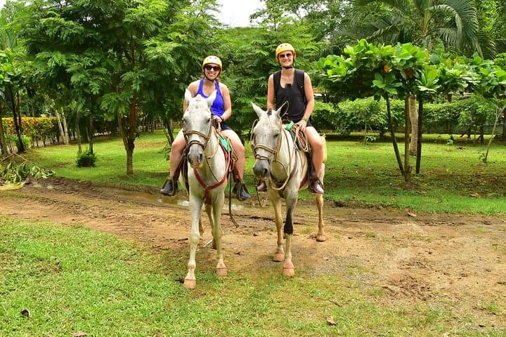 Rainforest Horseback Riding and Tarcoles Crocodile Boat Tour — Puntarenas Shore Excursion photo 2