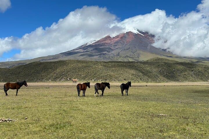 Cotopaxi Day Trip: Hike to José Ribas Refuge & Panoramic Andean Views photo 4