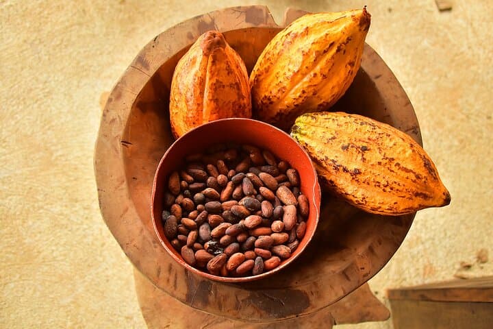 Tarcoles Crocodiles & Hands-On Chocolate: Puntarenas Shore Excursion photo 3