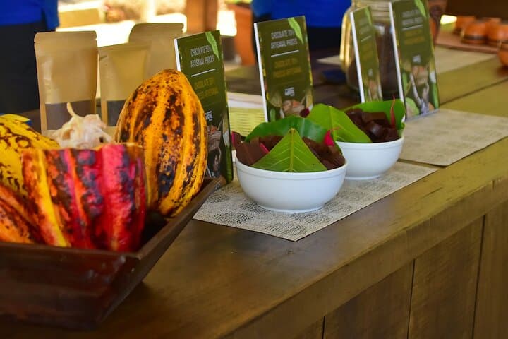 Tarcoles Crocodiles & Hands-On Chocolate: Puntarenas Shore Excursion photo 6