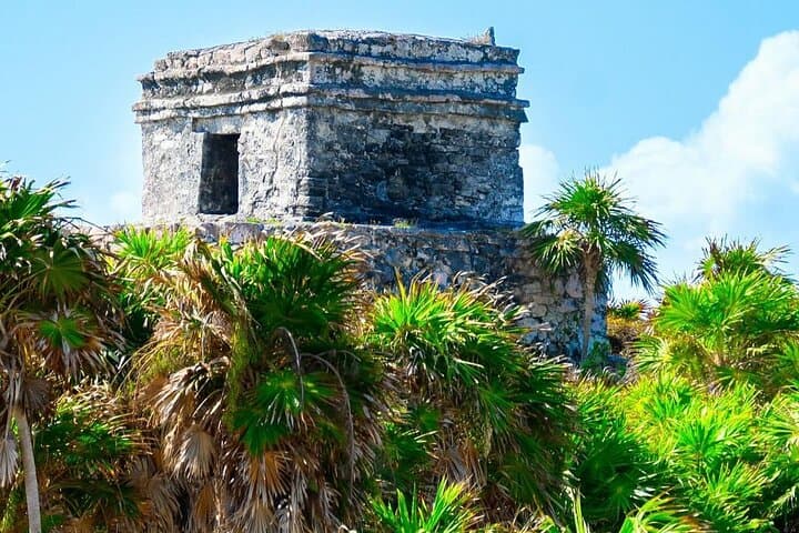 Half-Day Private Tour: Tulum Ruins, Cenote & Swim with Turtles photo 5