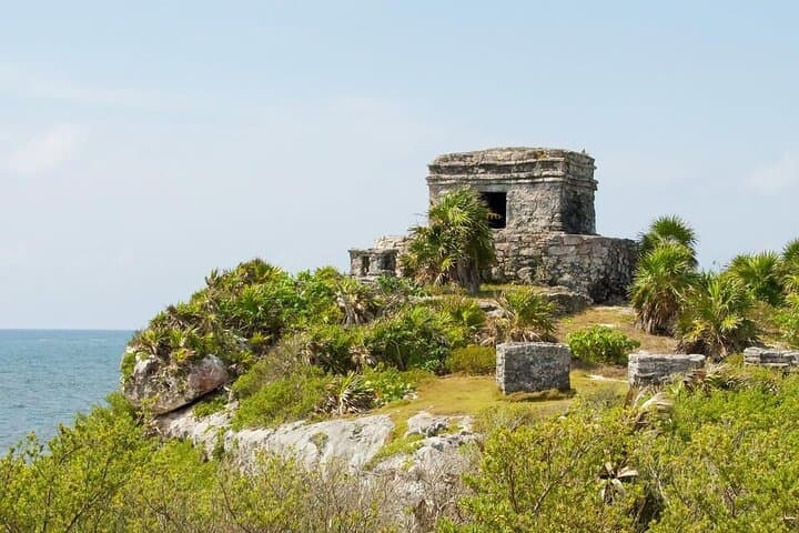 Half-Day Private Tour: Tulum Ruins, Cenote & Swim with Turtles photo 6