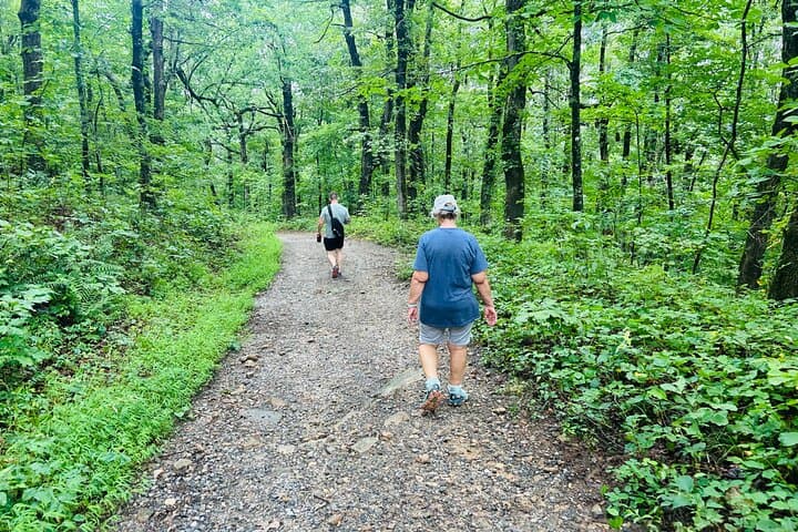 Yonah Mountain Hike and Helen Village Day Trip from Atlanta photo 3