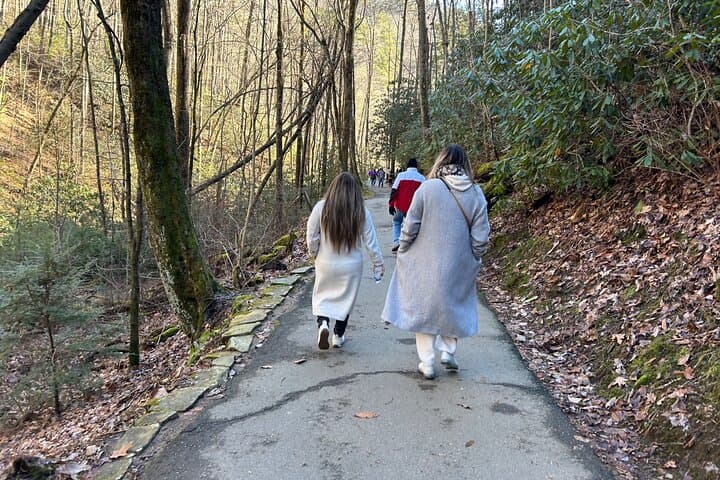 Helen Hike, Wine & Dine: Anna Ruby Falls to Helen Alpine Village (Private Tour) photo 4