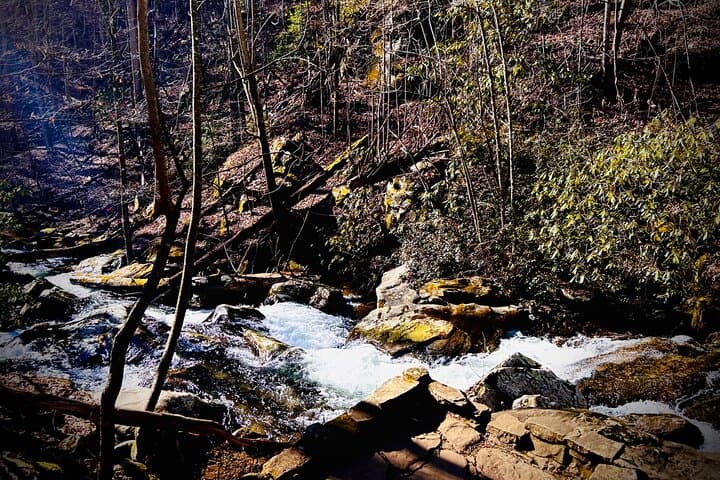 Helen Hike, Wine & Dine: Anna Ruby Falls to Helen Alpine Village (Private Tour) photo 5