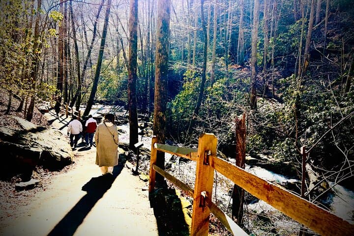 Helen Hike, Wine & Dine: Anna Ruby Falls to Helen Alpine Village (Private Tour) photo 6
