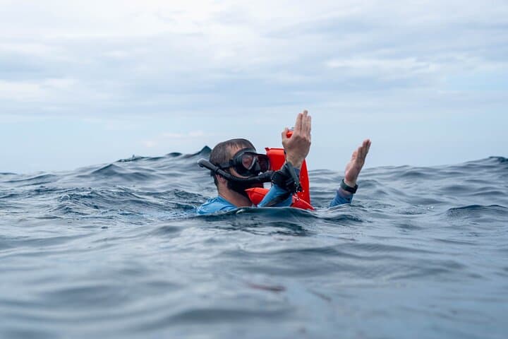 Whale Watching at Marino Ballena National Park — Uvita Boat Tour photo 5