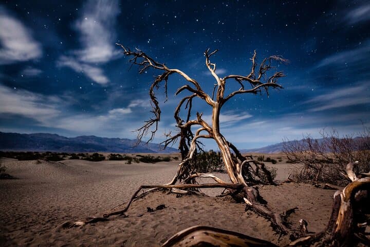 Death Valley Day Trip from Las Vegas: Zabriskie Point, Badwater & Artists Palette photo 5