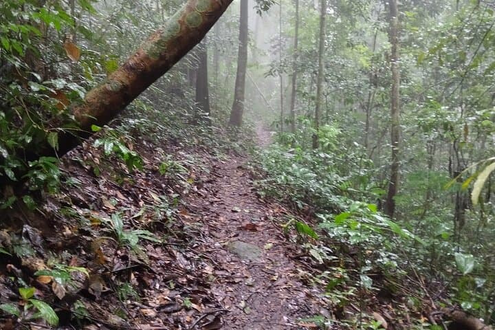 11km Sacred Mountain Hike: Doi Suthep to Khun Chang Khian photo 6