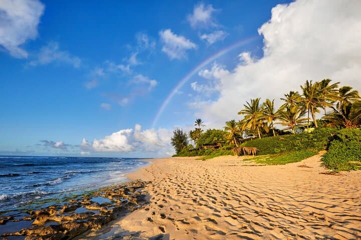 Private Oahu Circle Island Tour from Honolulu — Waikiki to North Shore (8.5‑Hour Private Day Trip) photo 6