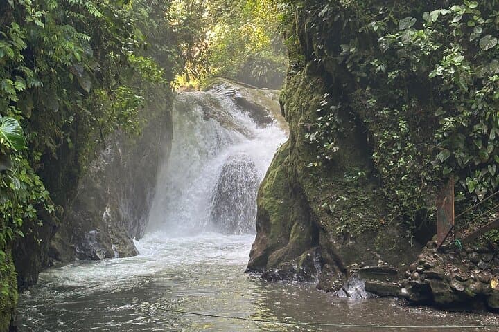 Mindo Cloud Forest Day Tour: Hummingbirds, Waterfall & Chocolate Tasting from Quito photo 2