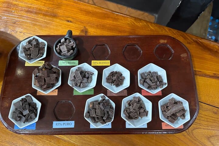 Mindo Cloud Forest Day Tour: Hummingbirds, Waterfall & Chocolate Tasting from Quito photo 4