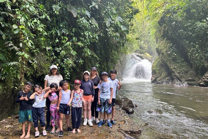 Mindo Cloud Forest Day Tour: Hummingbirds, Waterfall & Chocolate Tasting from Quito photo 5