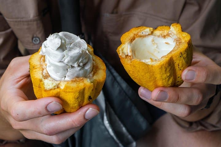 Daintree Sensations: Rainforest-to-Plate Food Tour from Port Douglas photo 3