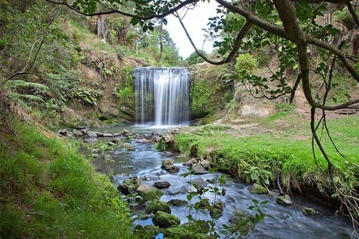 Private Auckland Waterfalls Tour: Oakley Creek to Waitangi Day Trip photo 2