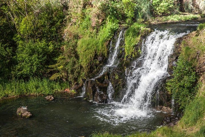 Private Auckland Waterfalls Tour: Oakley Creek to Waitangi Day Trip photo 4