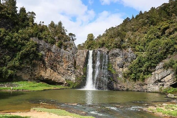 Private Auckland Waterfalls Tour: Oakley Creek to Waitangi Day Trip photo 1