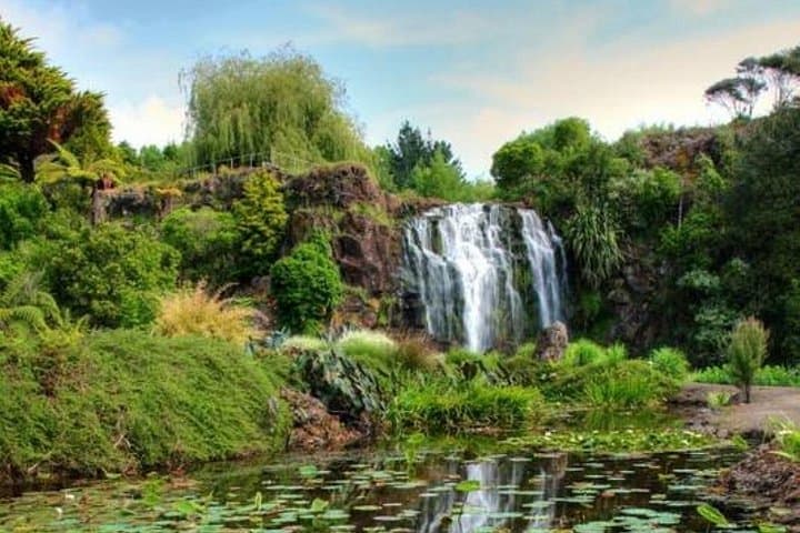 Private Auckland Waterfalls Tour: Oakley Creek to Waitangi Day Trip photo 3