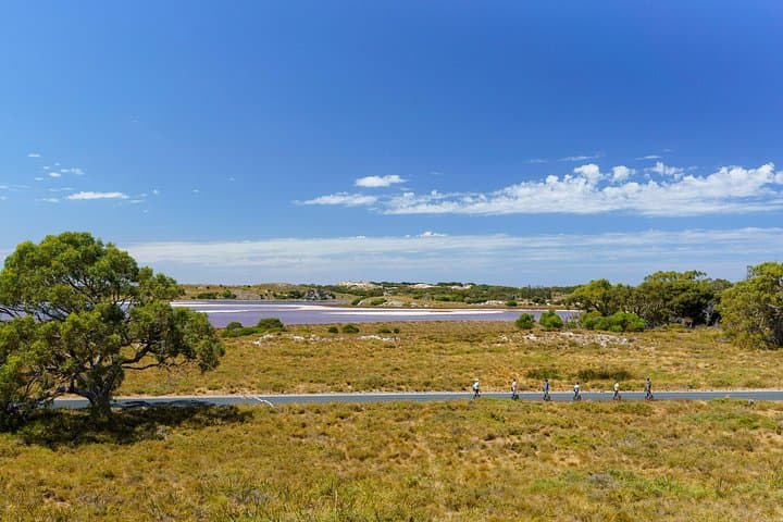 Rottnest Coastal Explorer Tour: 2-Hour Segway Adventure & Quokka Encounters photo 2