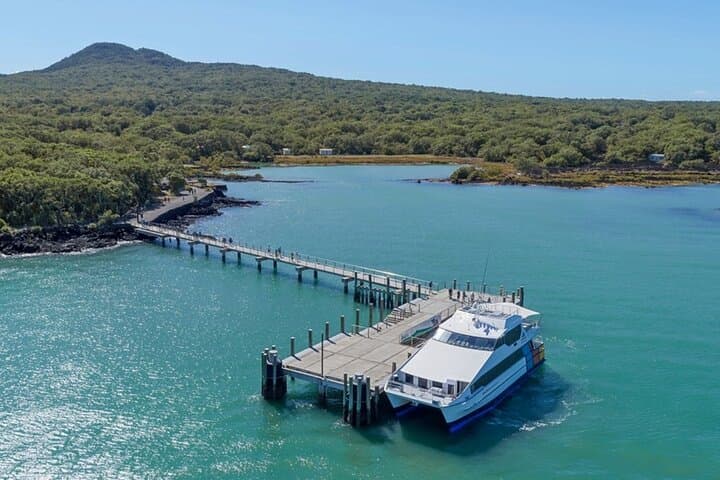 Auckland Natural Caves and Tunnels Private Tour — Rangitoto Caves, Piha & Cave Dining photo 3