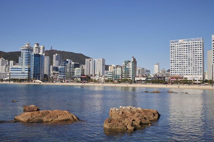 Explore Busan: A Private Taxi Tour for Cruise Passengers photo 6