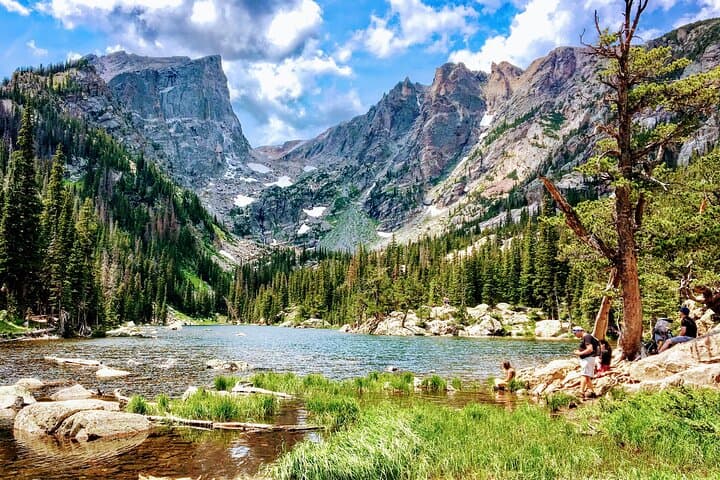 Private Wildlife Tour Rocky Mountain National Park from Denver