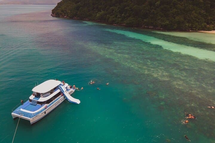 Koh Tan & Pig Island Speed Catamaran: Half-Day Snorkel, Kayak & Beach Pigs photo 4