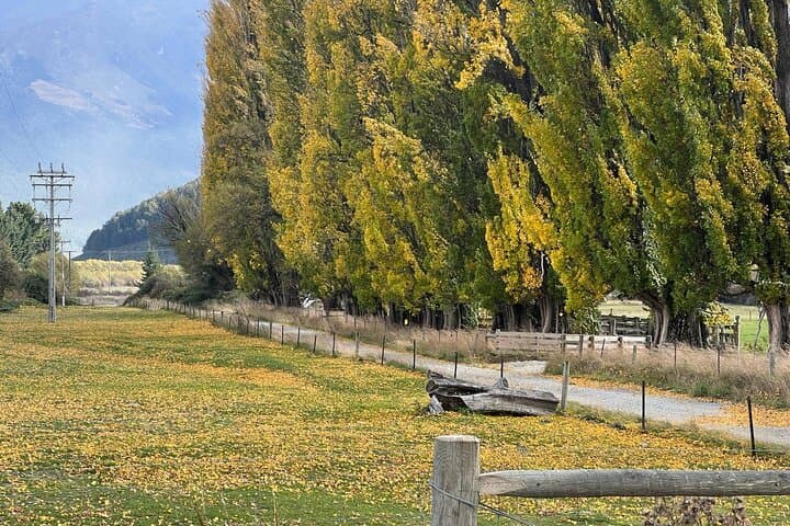 Full-Day Queenstown Scenic Wonders: Glenorchy, Arrowtown & Crown Terrace photo 1