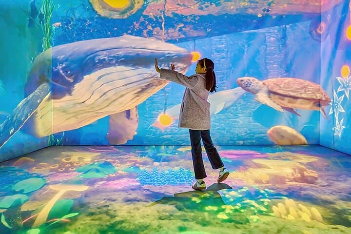 Wonder Park Gwacheon: Interactive Earth & Animal Media Park Ticket for Foreign Visitors