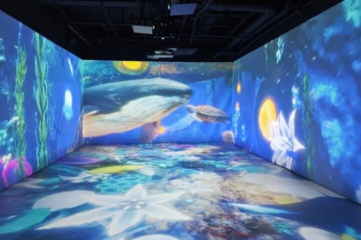 Wonder Park Gwacheon: Interactive Earth & Animal Media Park Ticket for Foreign Visitors photo 4