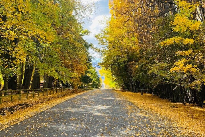 Full-Day Queenstown Scenic Wonders: Glenorchy, Arrowtown & Crown Terrace photo 2