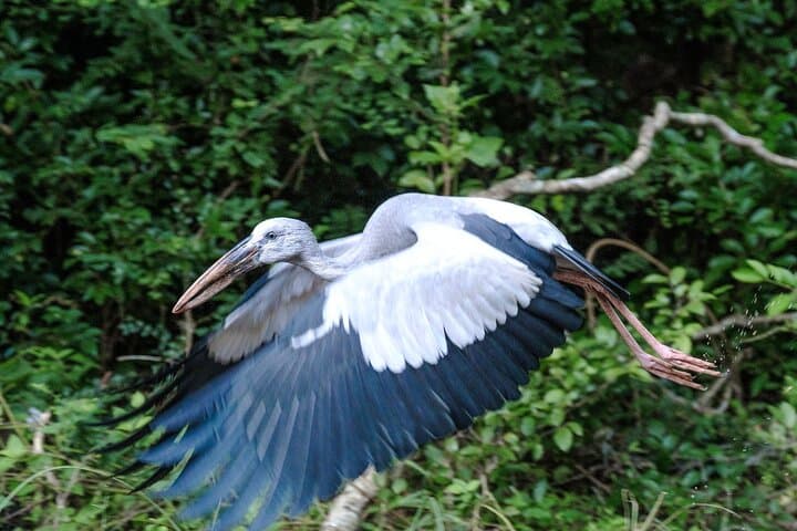 Yala Full-Day Safari from Hambantota Port — Leopard Sightings & Coastal Wilderness photo 4