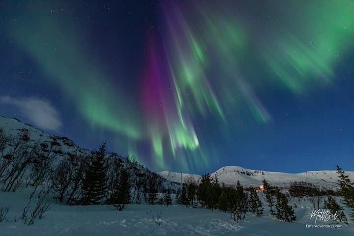 Tromsø Northern Lights Guided Bus Tour with Free Photos photo 5