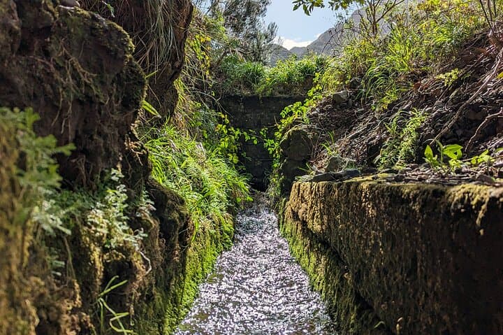 Pico do Arieiro Half-Day Private Tour from Funchal — Mountain Views & Levada Insight photo 5