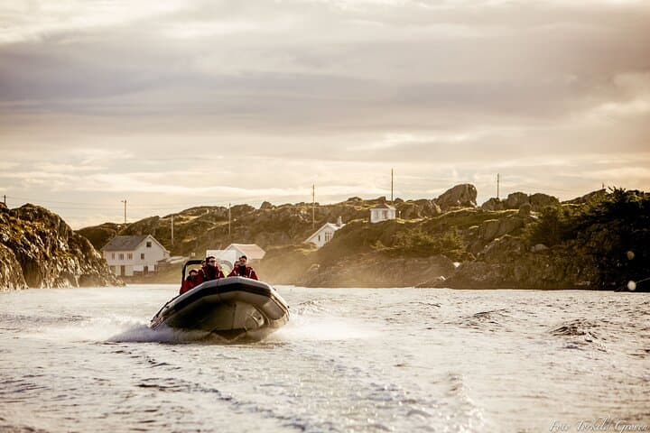 High-Speed RIB Safari in Haugesund — Coastal Islands & Eagle Watching photo 5