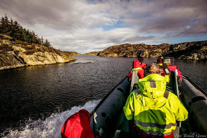 High-Speed RIB Safari in Haugesund — Coastal Islands & Eagle Watching photo 2