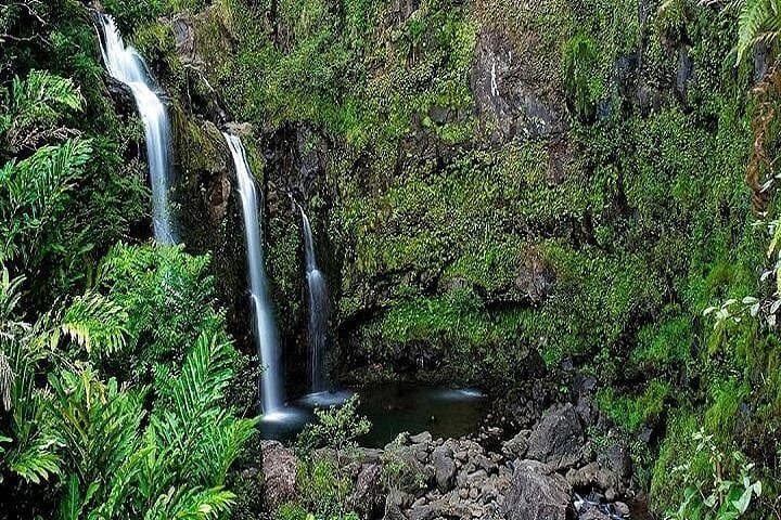 Private Road to Hana Rainforest & Waterfall Tour — Luxury, Custom Stops on the Hana Highway photo 4