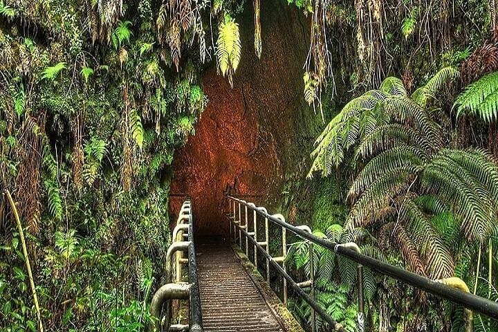 Deluxe Road to Hana Rainforest & Waterfall Experience — One-Day Hana Tour from Oahu photo 3