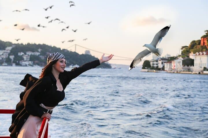 Bosphorus 2-Hour Cruise: Istanbul Sightseeing by Water