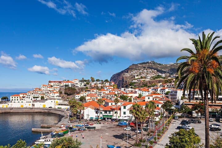Half-Day Madeira Highlights: Pico dos Barcelos, Eira do Serrado & Monte from Funchal photo 6