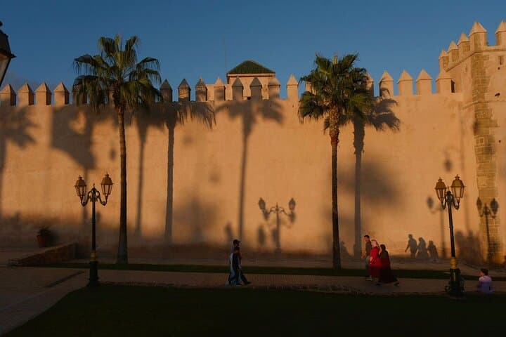 Day Trip to Essaouira from Marrakech: Argan Goats, Fresh Seafood & Atlantic Beaches photo 2