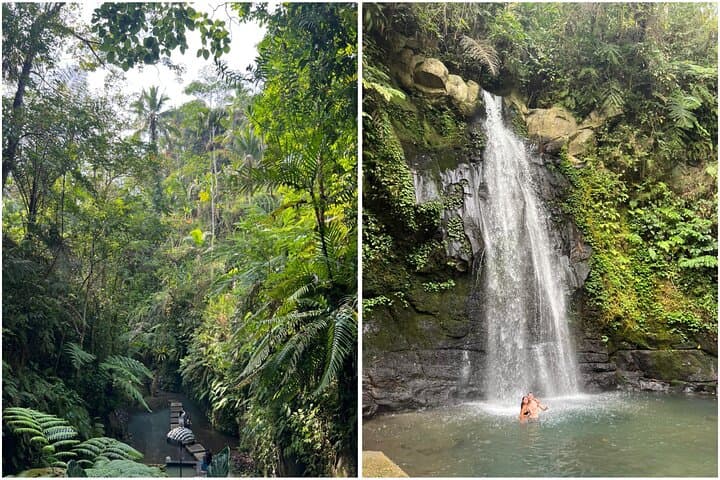 Ubud Half-Day: Monkey Forest, Tegalalang Rice Terrace & Ulu Petanu Waterfall photo 2