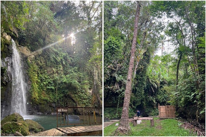 Ubud Half-Day: Monkey Forest, Tegalalang Rice Terrace & Ulu Petanu Waterfall photo 4